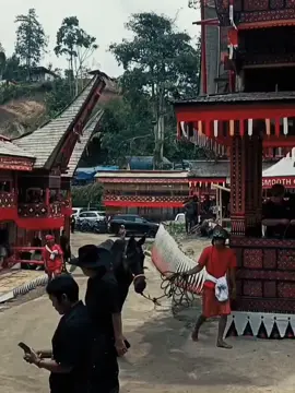 Bokin🔥🔥 #fyp #rantebua_torajautara #sulawesiselatan #fypage 