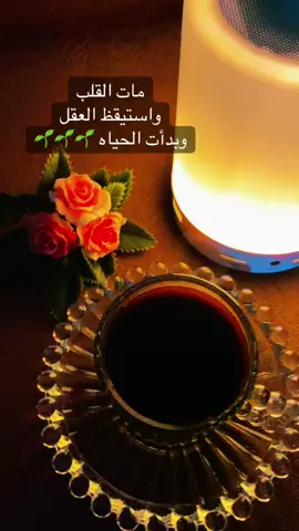 #اكسبلورexplore #تصويري📷 #قهوتي☕مزاجي☕🍫🎼 #خواطر #الشتويه 