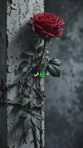 علاج لا يباع في الصيدليات #خواطر #حالات #اقتباسات #حكم #اشرف_عيسى 