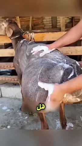 #صلوا_على_رسول_الله🤲🕋 