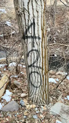 Idle hands make for devil work-BTK #trash #sharps #greenslc 