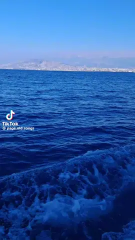 #الشعب_الصيني_ماله_حل😂😂 #جورج 