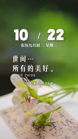 今天是 10月22日，星期三，早安。世间所有的美好，都需要慢慢等待：等雨落洗去尘埃，等风来捎带温柔。人间烟火各有遗憾。今天比昨天好，这就是希望…加油！