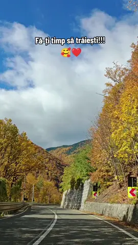 Lepșa, Vrancea 🥰❤