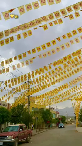 Parte 275💛👑…#fypシ゚ #viral #foryou #tiktok #selwa🦋 