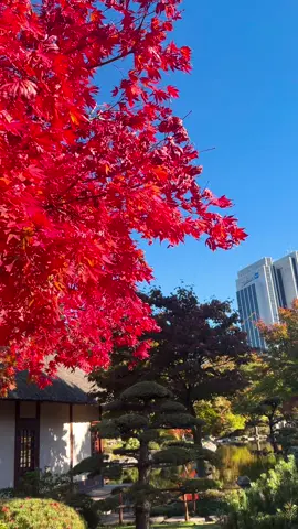 Mình sẽ quay lại đây 