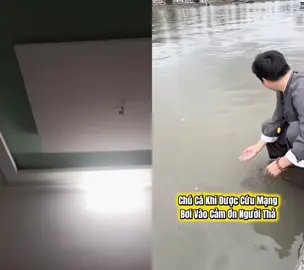 #duet cùng @FB Việt Anh ( Thiện Danh ) 