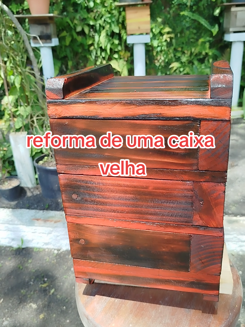 reformando caixa velha de abelhas sem ferrão 