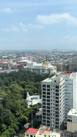 Bendito martes #turismo #cdmx #travel #fyp #natural 