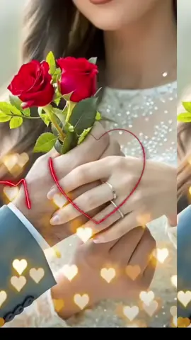 #sacdiyocadeyforyufyp 