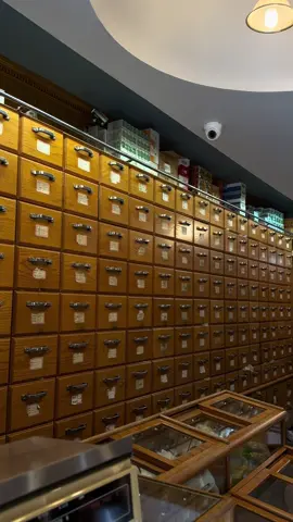 Lin sister in NY ! #fyp 