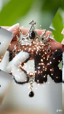 #followyoupage #triending #unfreezemyaccount #viral video #tum mily 