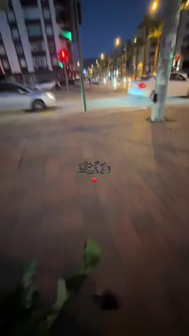 #explorer #fypシ゚ #🤍 #fyppppppppppppppppppppppp #4u 