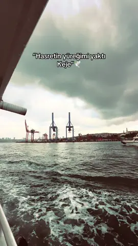 Keje🕊️ #istanbul #keşfet 