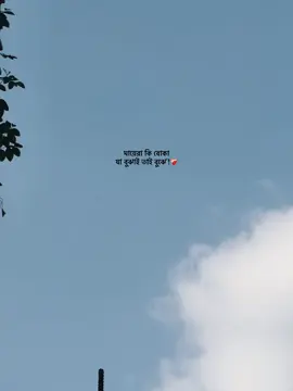 #foryoupage 