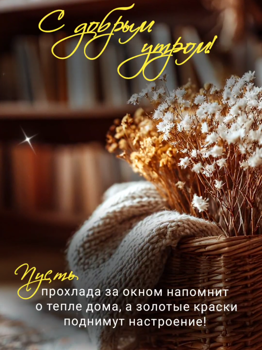 С добрым утром ☕  Готовые сторис на каждый день недели.  #пожеланиядоброгоутра  #мотивация  #цитатысосмыслом  #музыкальныеоткрытки  #осенниевидео