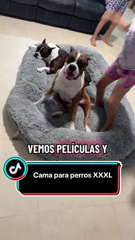 Porque tu peludo también merece el trono más cómodo 🐾💤 Dale ese rincón suavecito donde sueñe, descanse y recargue energías. ¡Una cama que dice te amo sin palabras!” #DogBed #CamaParaPerros #MascotasFelices #PetLovers #SueñosPeludos