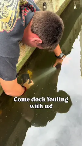 When the tides are too high and the tidepools aren’t accessible, we make our way to the nearest dock instead! The docks are full of life and always such a great spot to explore and learn more about the incredible marine diversity around us! #tidepool #seaslug #nudibranch #nudibranchnerd #dockfouling 