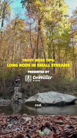 Trout Tip of the Day — Using Longer Rod on Small Streams  ~ Today @tripp_nazziola joins us from the Southeast to break down why a longer rod isn’t just for big water. A lot of the Southeast's streams are covered in dense vegetation, sometimes making casting difficult. On these tight, technical streams, a 10-foot rod gives you three main advantages. It gives you extra reach for better drifts, easier roll and bow-and-arrow casts, and improved hookup ratios when fishing small pockets.  ~ Head to [FLYLORDSMAG.COM] to see more Trout Week content across the Southeast!  ~  #Flylords #OnWaterFish #TroutWeek2025 #FlyFishing #Trout