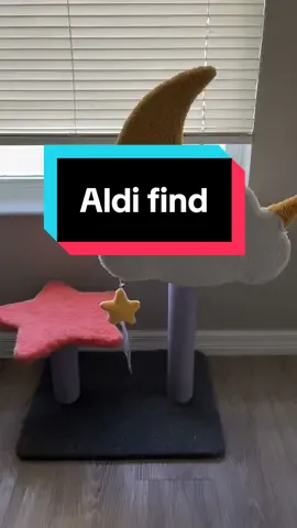 #catmom #aldi #blackcat #aldifinds #catsoftiktok 