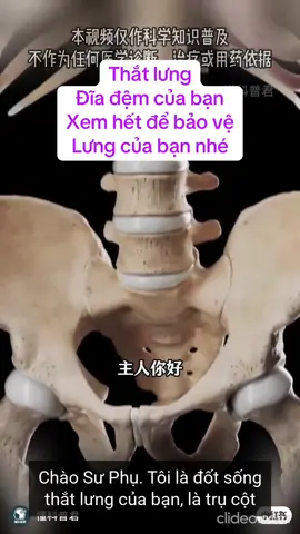 Thắt lưng đĩa đệm  #Daogiayvien #yhoccotruyen #dongy #thoatvidiadem 