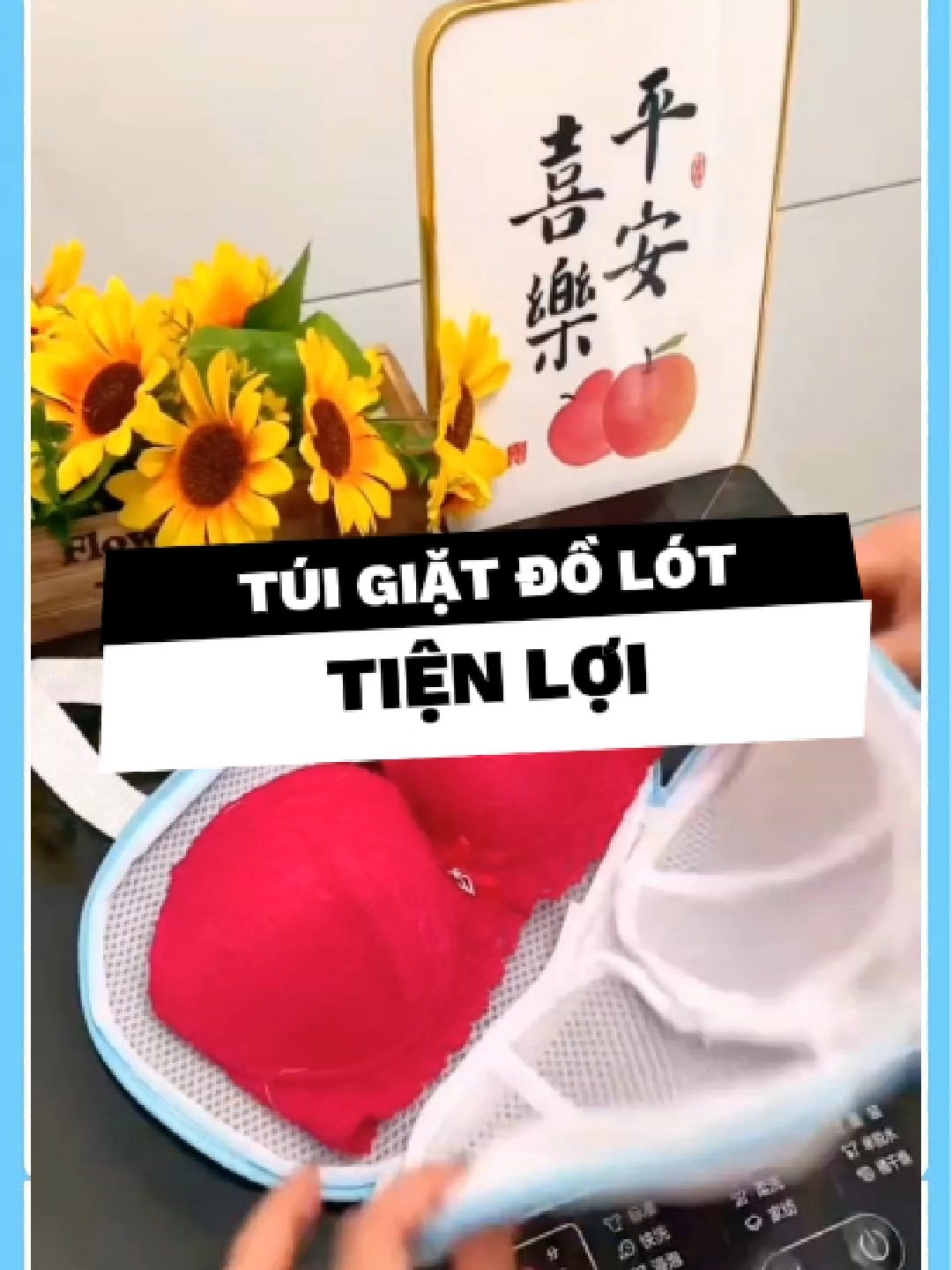 🩱 Túi Giặt Bảo Vệ Đồ Lót – Giữ Form, Không Biến Dạng! #tuigiatdolot #duyne0710  #giadungtienich #giadungthongminh #xuhuong #fyp