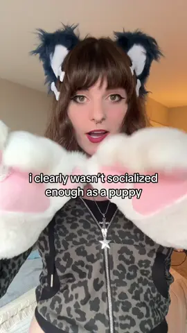 GIVE A DOG A BONE!!!!