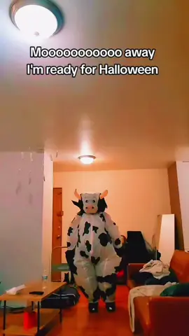 ready for Halloween? #halloweencostume #inflatablecostume #cow 