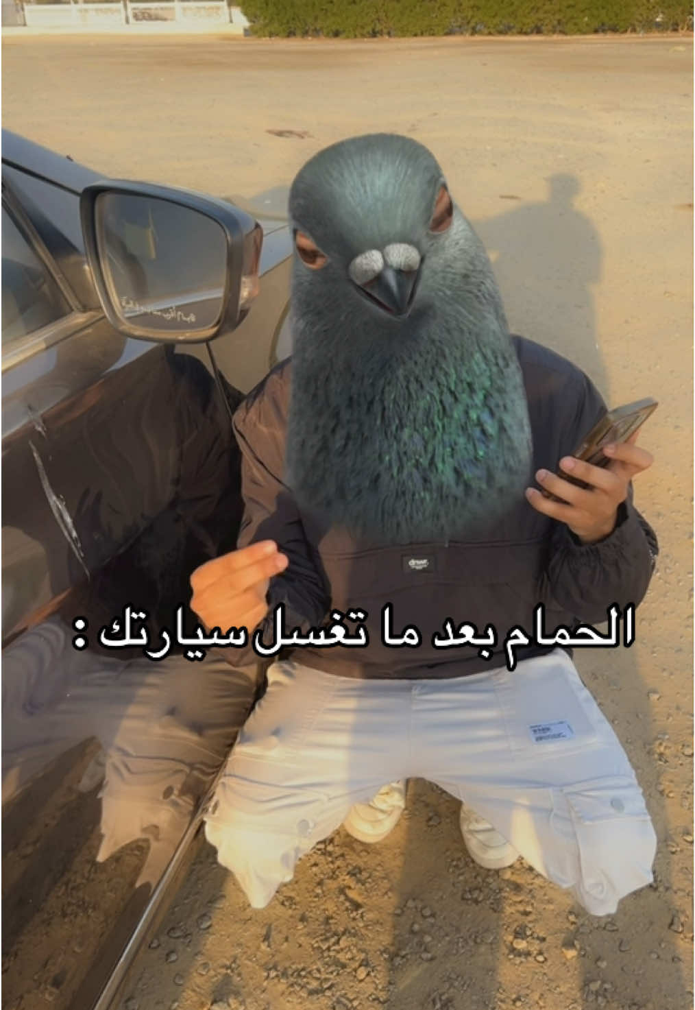 تعالوا البرنامج الاصفر abody1dini 👻 .  #السعودية #طيور #حمام #الحمام #سياره 