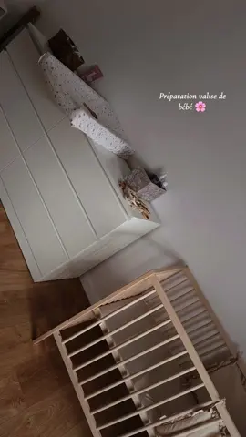 Préparation de la chambre de bébé, je vous montre un petit aperçu, et bientôt je vous montrerai la chambre finie 🥰  Petite princesses qui arrive dans 1 mois et quelques jours 🌸💝 #fille #baby #girl #pregnant #enceinte 