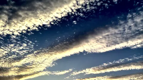 علي يشبه علي😴😮‍💨 حسابي الأساسي @نايف الشمريي☪︎ #تصويري_احترافي_الاجواء👌🏻🕊😴 #تصويري📷 #شهر_جديد 