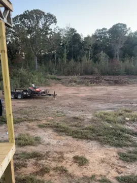 #noanimalswereharmed #fyp #nojumping 