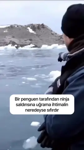dünyanın en şirin saldırısı 😂 #komedialemi #komedi #funny #mi̇zah #shorts 