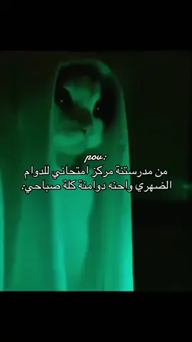 لكك قهرر وفوكاها مدرستنا مو مركز انتخابي 😭😭😭💔 #عطلة #رابع_علمي #الرجوع_للمدرسة #دوام #ستوعبوني 