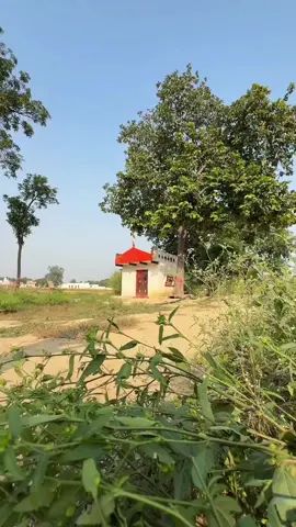 New funny video #foryoupage #viralvideo #ankitkjackcomedy #viral?videotiktok😇😇 