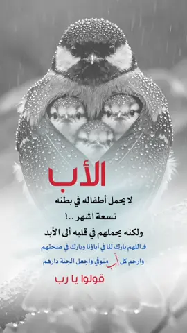 اللهم احفظ آباؤنا وجميع آباء المسلمين وارحم منهم من توفى #اعادة_النشر🔃 #إيفان_الجيزانيه #الأب #حكم_وأمثال_وأقوال #اللهم_احفظ_ابي_وجميع_ابآئنا_المسلمين 