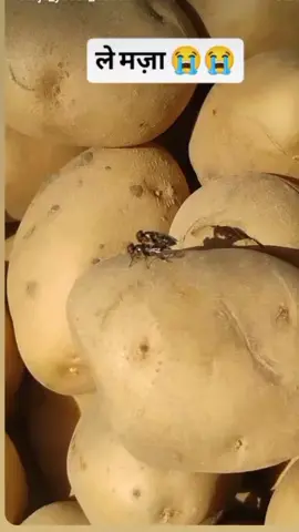 #🤣🤣🤣🤣🤣🤣🤣 