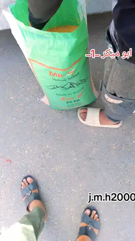 #العراق_السعوديه_الاردن_الخليج #الحسينيه_الراشديه #الحسينية_مطعم_الامير #زواجل_العراق #ارافل_العراق 