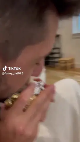 Cats #catsoftiktok #funny #cherrue #cats 