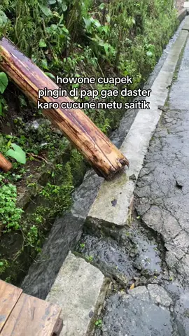 wes hop lek buwuh aku tak golek pulian dilit 🫣