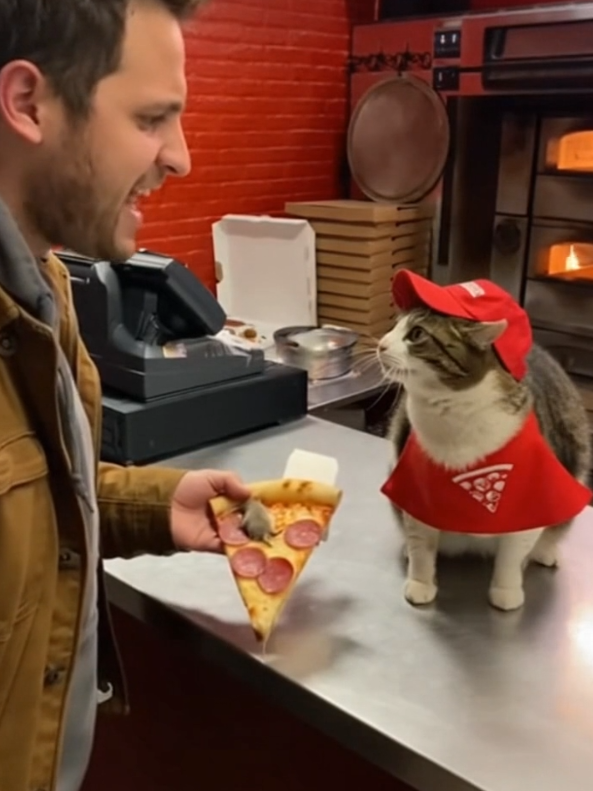 Katze im Pizzaladen 🍕 #cat #funny #sora #ai #fyp 