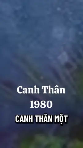 Tâm Sự Tuổi Canh Thân 1980#thịnhhành #xuhuong #xuhuongtrieuview 