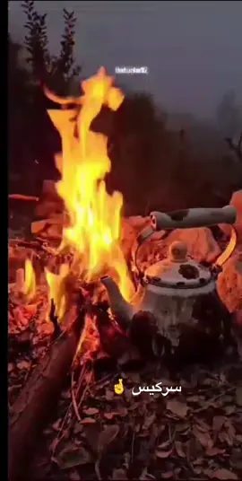 الشاعر وليد سركيس #🧏‍♀️🔥❤️