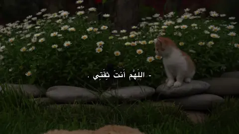 اللَهَّم أَنتَ ثِقَتِي🤎🌱 . #احمد_الوائلي #شيعة_علي_الكرار #لايك_متابعه_اكسبلور #تصميمي #fyp 