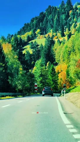 Beautiful Switzerland 🇨🇭#beautifulplaces #switzerlandtravel #amazingviews #Sabia🇨🇭Switzerland 