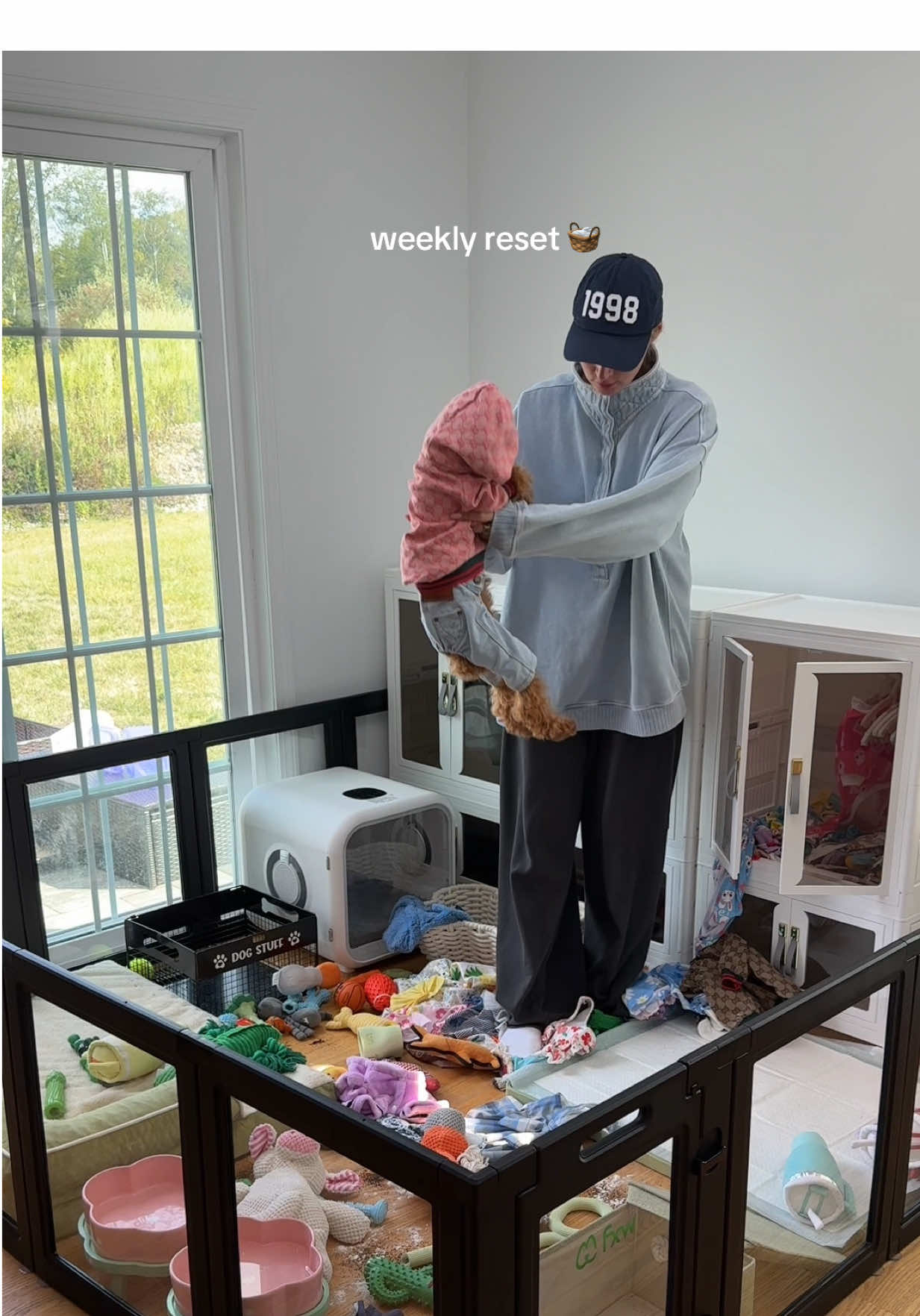 weekly reset 🧺 #reset #dog #puppy #cleaning #dogsoftiktok 