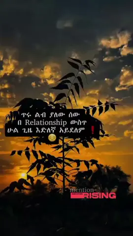 #creatorsearchinsights 