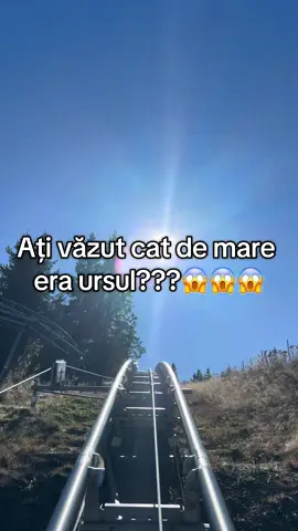 #creatorsearchinsights #viral #couple #fyyyyyyyyyyyyyyyy #romania🇷🇴 @Chef_Martin 