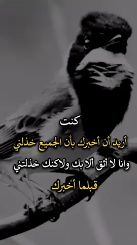 #افضل_عبارة_لها_تثييت، #عباراتكم_الفخمه📿📌 #اجمل_عبارة_راح_ثبتها📌 