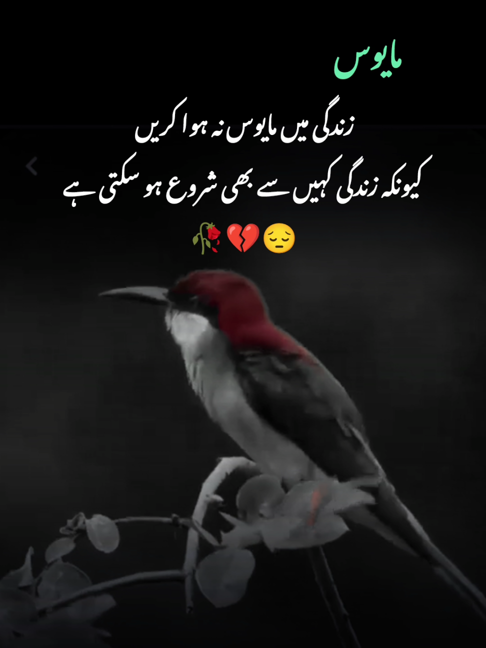 It's true 🥀💔😔#fypジ #fypviral #urdupoert #tardingvideo 